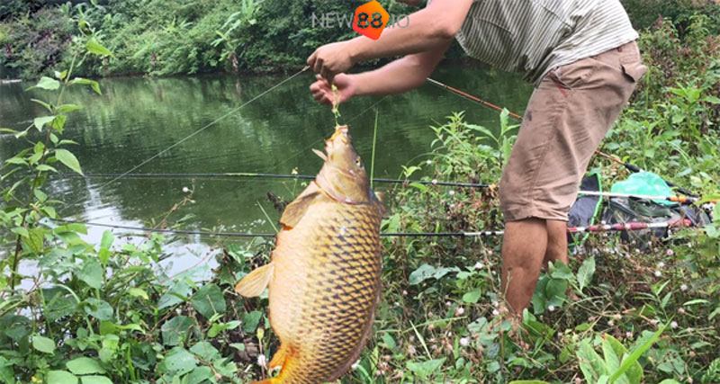 Nằm mơ thấy bản thân đi câu cá trên sông